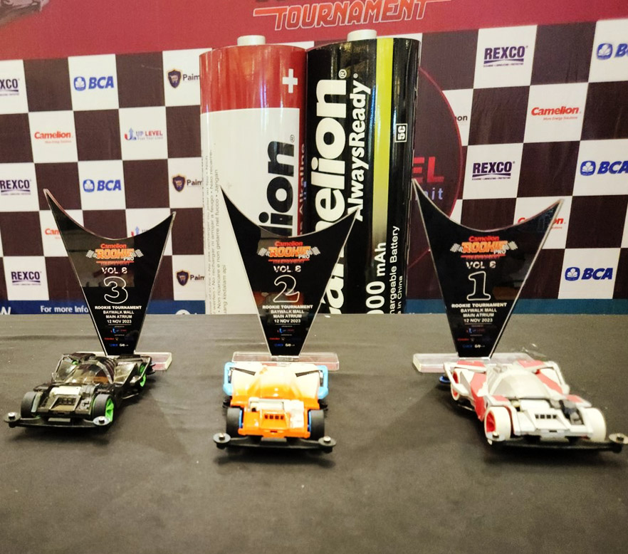 Corridas de Carros de Brinquedo – Uma Celebração da Juventude, Habilidade e Amizade